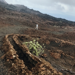 世界潜水终极目的地 加拉帕戈斯漂浮记