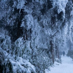 你见过雪后的峨眉山吗？简直像人间仙境