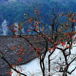 再说宁波是旅游荒漠 我第一个不同意