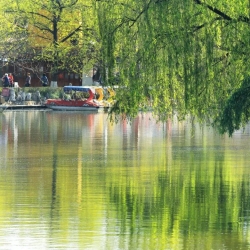 适合两个人打卡的旅行清单