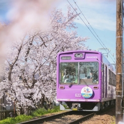 <b>中国最美的6条铁路　路上就是风景</b>